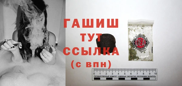 гашик Надым
