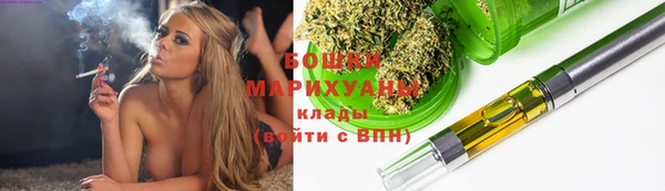 PSILOCYBIN Балабаново